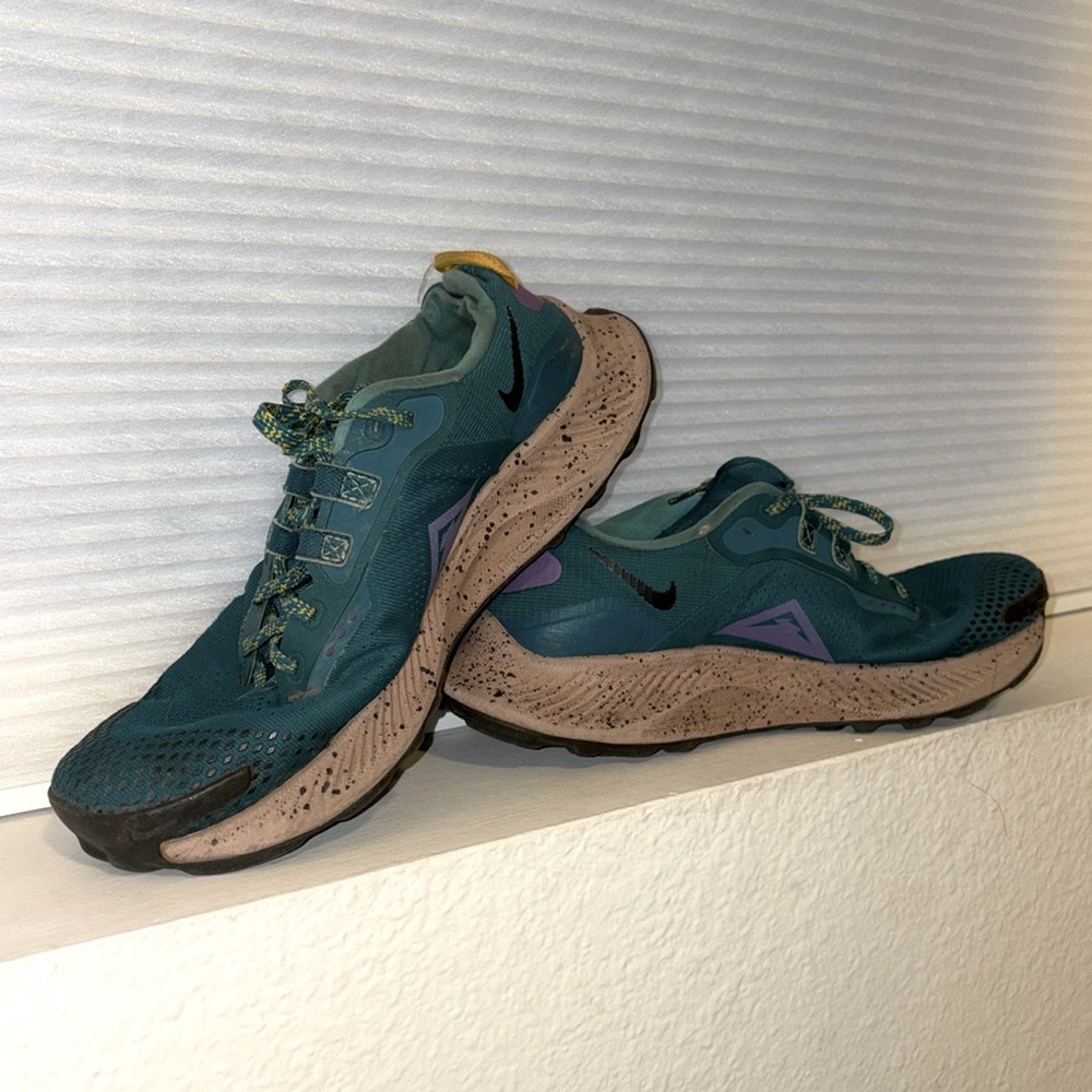Nike Pegasus 3.0 Running Shoes